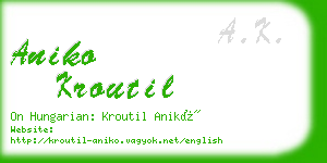 aniko kroutil business card